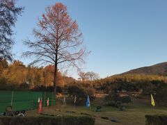 -陶祖圣境风景区