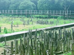 -河姆渡遗址博物馆