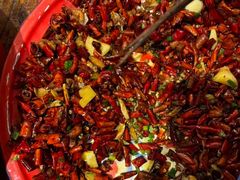 -聂发财重庆江湖菜(解放碑店)