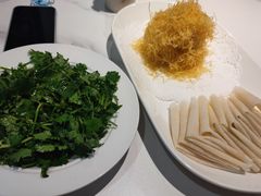 -丁老爷子苏香圆