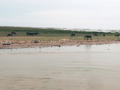 景点-洞里萨湖