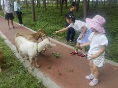 -马陆小张葡萄园农家乐