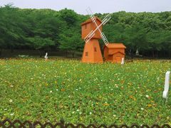 -苏州上方山国家森林公园