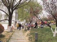 -灞河西岸滨河公园