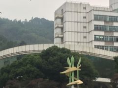 -四川农业大学(雅安校区)