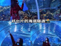 -顺德南宏海立方海洋公园