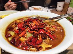 馋嘴牛蛙-辛香汇·现炒川菜(武进吾悦店)