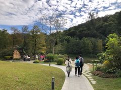 -云溪植物园