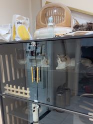 -花系美·美甲美睫精品店