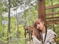 -大岭沟猕猴桃谷风景区