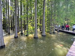 -采石矶景区