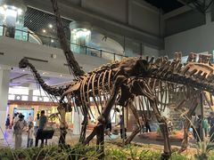 -自贡恐龙博物馆