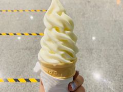 -麦当劳(北京大兴机场二层国内到达(安检外)店)