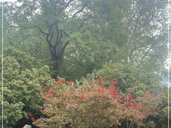 -菊花台公园