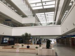 -上海东方肝胆外科医院(嘉定院区)
