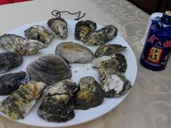 吃完的壳壳-海岛渔村大酒店(云霄路店)