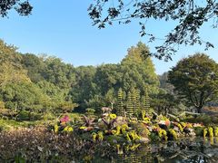 -杭州植物园