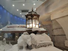 -长沙湘江冰雪世界