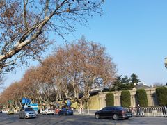 -南京中国近代史遗址博物馆(南京总统府)