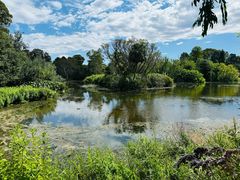 -墨尔本皇家植物园
