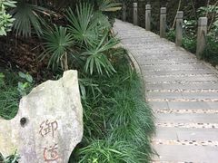 -十八棵（老龙井）御茶园(老龙井店)
