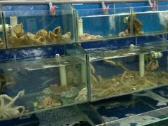 -日照大牌檔•小船海鲜(万平口店)