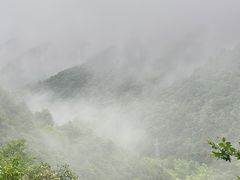 -水墨汀溪风景区