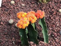 -南通洲际绿博园