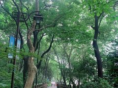 -杭州半山国家森林公园