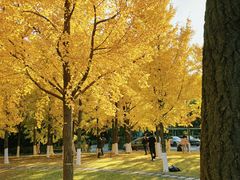 -浙江大学(紫金港校区)