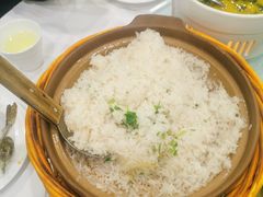 -饭怕鱼(阳光100店)