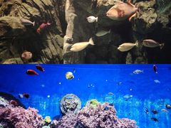 -珠海长隆海洋王国