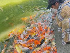 -珠海圆明新园
