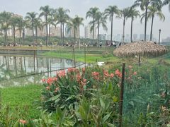 -南宁南湖公园