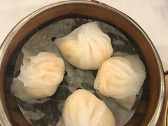 虾饺-凤城酒家(渣华道)