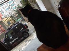 iphone_upload_pic-研途咖啡馆(健康路店)