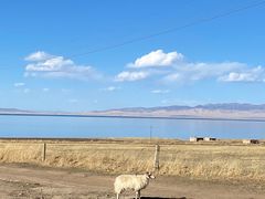 -青海湖国家重点风景名胜区