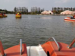 -上海长兴岛郊野公园