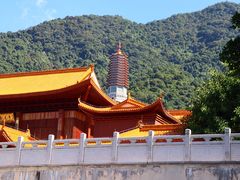-深圳仙湖植物园
