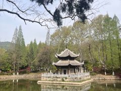 -习家池