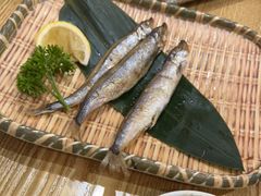 -鱼民·现造寿司(育德店)