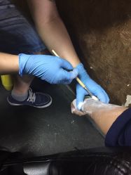 -天绣堂纹身刺青tattoo