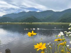 -大九湖