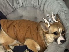 -棒约翰比萨汉堡·意面(浦江欢乐颂店)