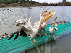 -宁波野生动物园