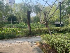 -杭州半山国家森林公园