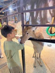 -酷嗒动物文化乐园(cutezoo西溪乐天城店)