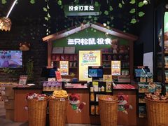 -三只松鼠(北美N1店)