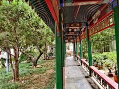 -新川办餐厅