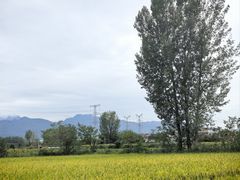 -林间山庄
